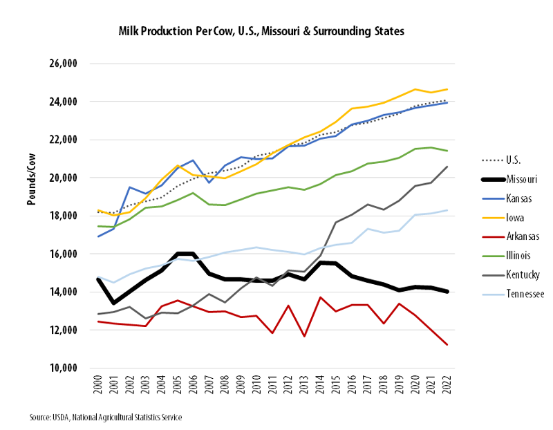 Line graph showing the milk production (pounds) per cow in Missouri, Kansas, Iowa, Arkansas, Illinois, Kentucky and Tennessee from 2000 to 2022. Missouri’s milk production per cow tends to be low when compared to the U.S. states. The U.S. average, Iowa, Kansas and Illinois are the highest among selected states and have steadily grown over time. Kentucky has grown considerably since 2013 and sits in the middle range along with Tennessee. Arkansas has mostly remained the lowest over the time period, below Missouri’s average. Data source: USDA National Agricultural Statistics Service.