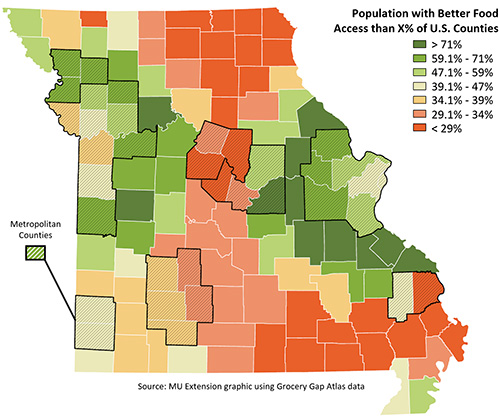 Food access and insecurity graphic