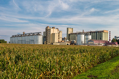 An agro processing plant and silos fronted by a cornfield