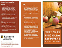 Tri-fold brochure with recipe and food safety tips for holiday leftovers