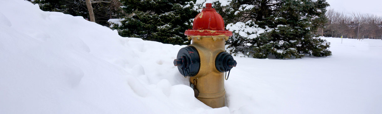 fire hydrant in snow.