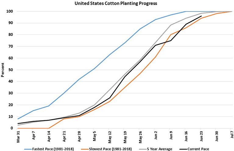 U.S. cotton planting progress chart starting March 2019