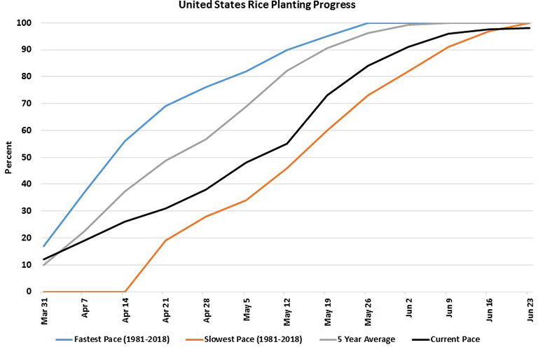 U.S. rice planting progress chart starting March 2019