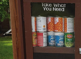 Blessing box or little food pantry