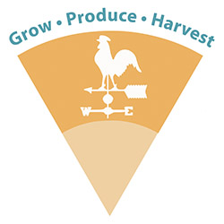 Icon for Grow, Produce, Harvest stage of food systems