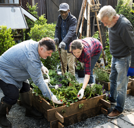Group of people working together in a community garden