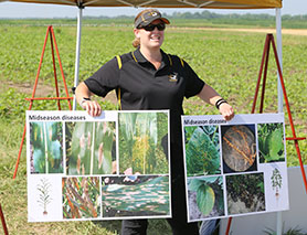 Integrated Pest Management presentation during a field day