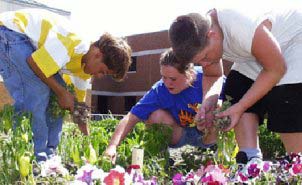 Three children working in a flowerbed
