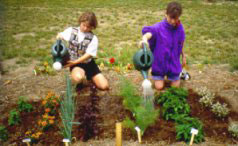 Two kids watering a garden
