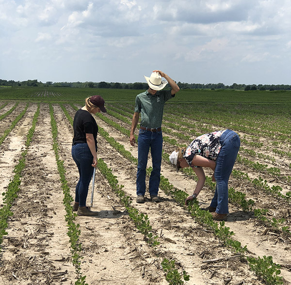 Photo of 2021 interns examining field of crops