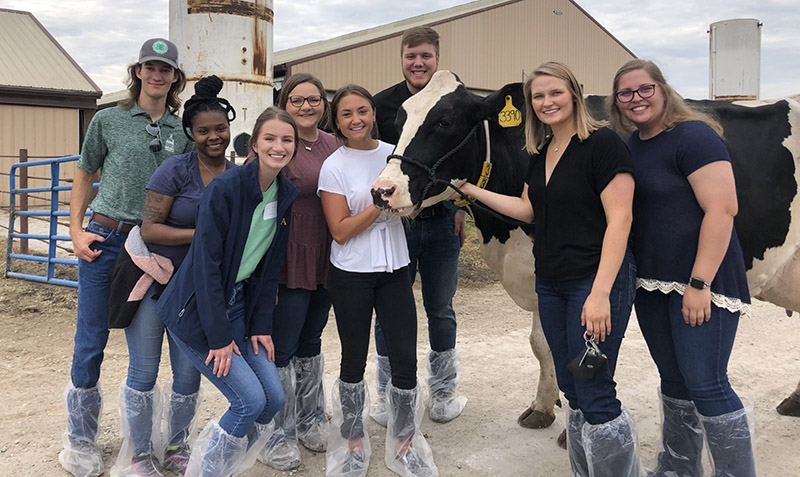 Photo of 2021 interns with cow