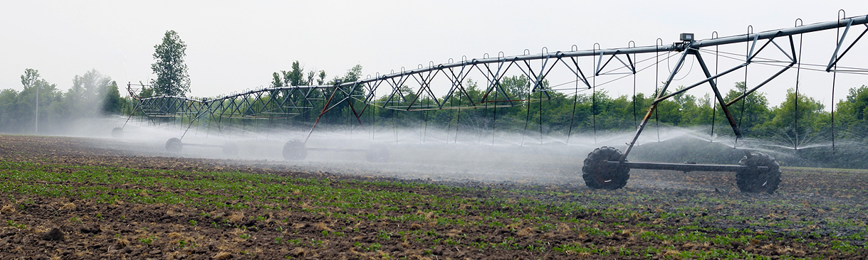 Sprayer irrigating field