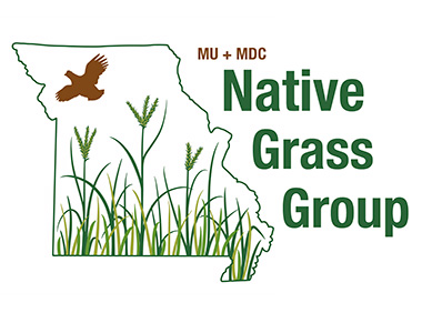 MU/MDC Native Grass Extension Project logo