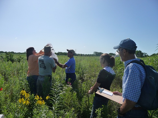 Hi Lonesome Master Naturalists conduct insect sampling on the prairie