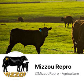 Mizzou Repro Facebook banner, cropped.