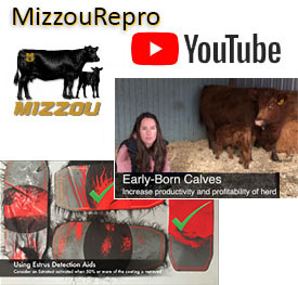 Mizzou Repro logo, YouTube logo, and two video screenshots.
