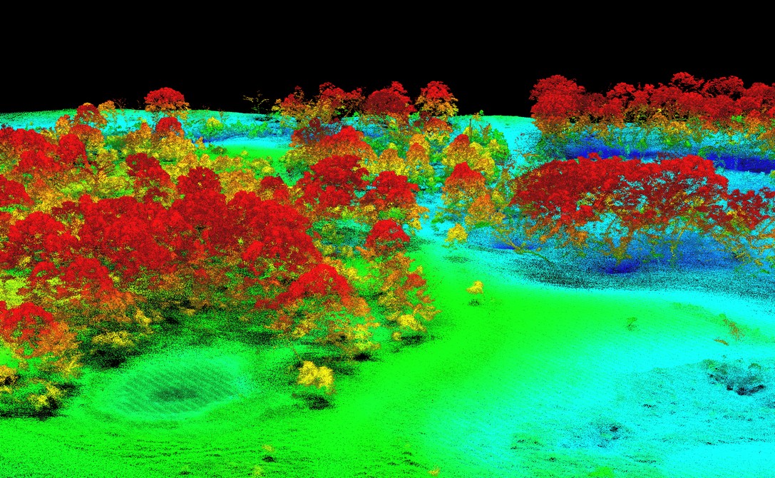 LiDAR point cloud and remote sensing analysis at Prairie Fork Creek Conservation Area