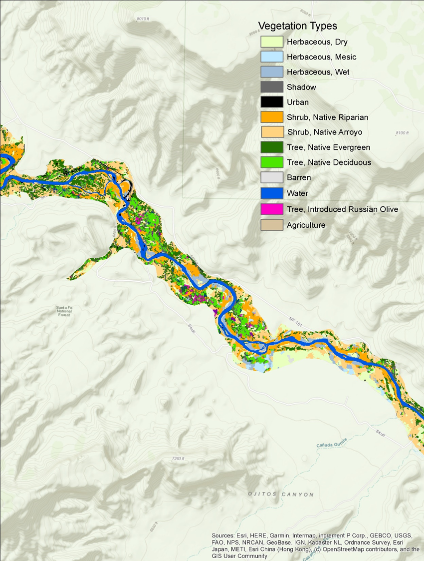 New Mexico riparian and wetland habitat mapping