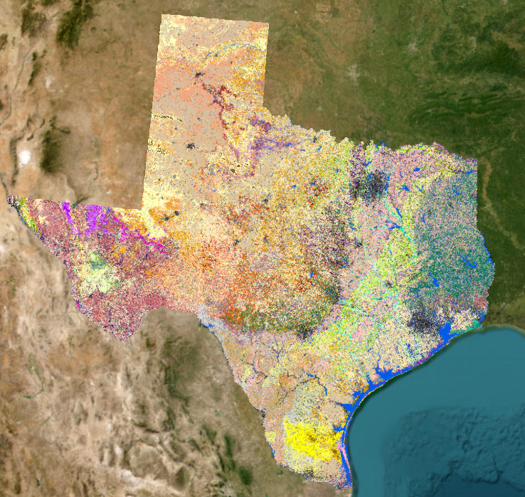 Texas wildfire fuel model and risk assessment mapping