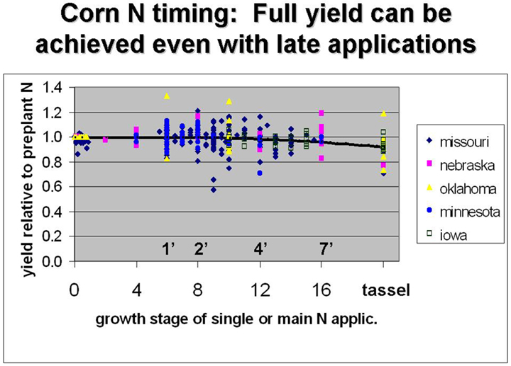 corn timing