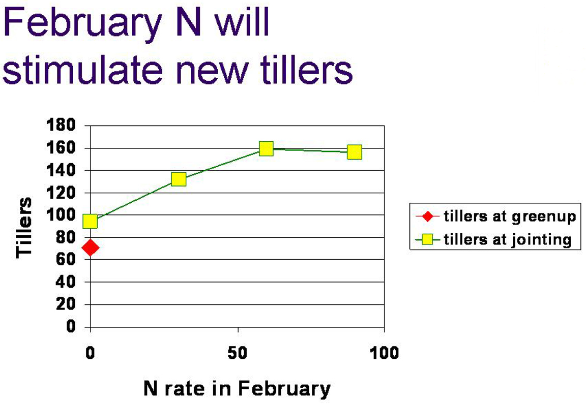 February N will stimulate new tillers