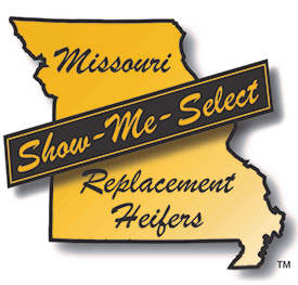 Show-Me-Select Replacement Heifers logo