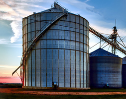 Link to Missouri grain crops website