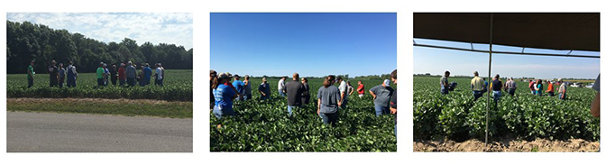 Scouting school in fields