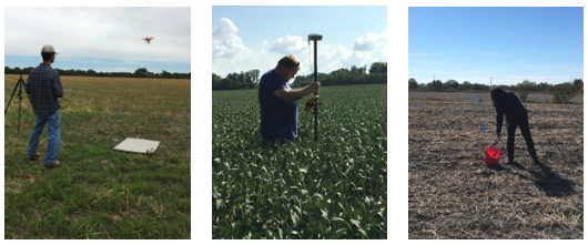 In-field monitoring