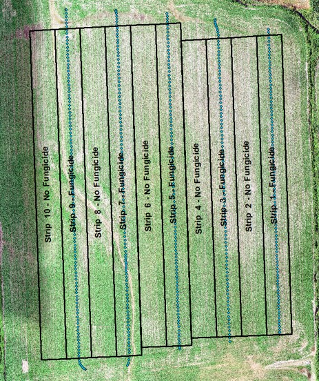 Fungicide trial map layout