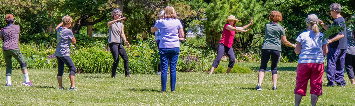 Tai chi class being held in sunny field.