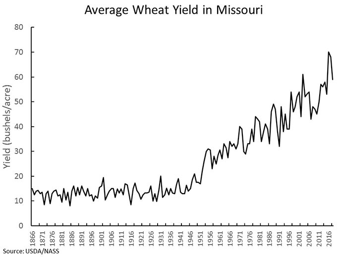 Chart showing average Missouri wheat yield in bushels per acre every five years, from 1866 through 2016