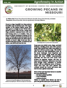 Cover of the Growing Pecans in Missouri guide.