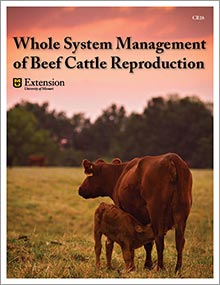 Whole System Mangement of Beef Cattle Reproduction manual cover.