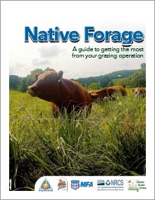 Cover of the Native Forage guide depicting grazing cows.