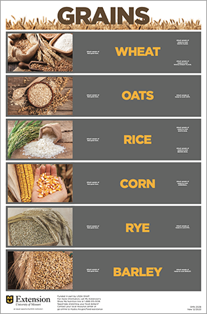 Grains Guide poster