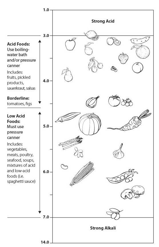 ph scale