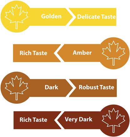 Scale of maple syrup grade A color and taste classes as enforced by USDA. Scale arranged from lightest to darkest syrup color.