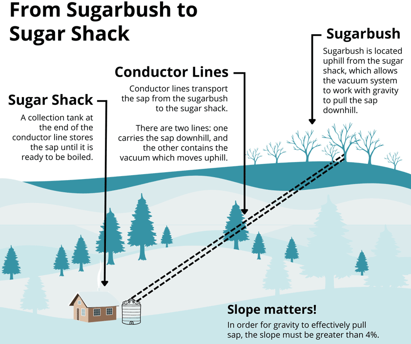 Sap collection process, from sugarbush to sugar shack.