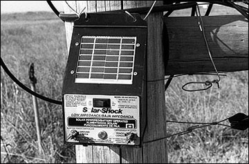 Solar-powered fence energizers