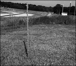 Plastic fence post with molded-on wire/tape clips