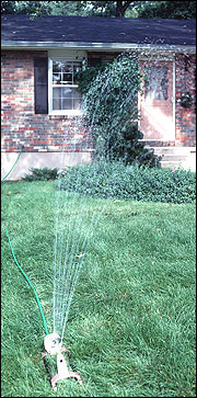 Water sprinkler