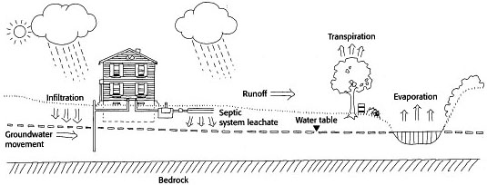 Againt water  pollution  India NCC