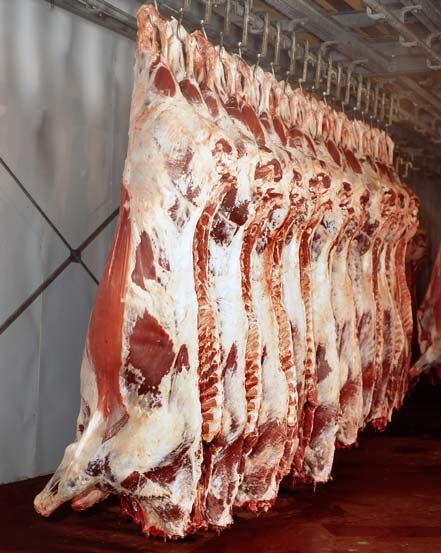 The sheer size of whole beef carcasses can be overwhelming to consumers, creating value for marketing beef in smaller quantities.