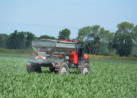 A red tractor pulling a granular fertilizer spreader applies nitrogen to an emerged corn field during a split application, demonstrating 4R Nutrient Management principles. The corn plants are in early vegetative growth stages, and the spreader is actively dispensing fertilizer across the green rows. A tree line is visible in the background under a clear blue sky, suggesting a Midwestern row crop setting.