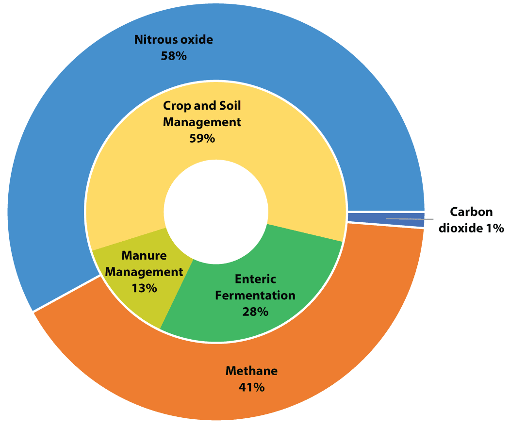 A two layer ciricular chart summarizing the types of GHGs emitted by agriclture and the type of emissions that are produced. In the outer ring of the circle there are the types of gases emitted. Nitrous oxide counts for 58% of the CO<sub>2</sub>e while methane and carbon dioxide account for 41% and 1%, respectively. The inner circle is rotated to show what gas is emitted by which process. Crop and soil management emmissions account for 59% of total emissions and is mostly comprised of nitrous oxide but also of all of agricultures carbon dioxide emissions and a small amount of methane. Manure management accounts for 13% of total emissions and produces both nitrous oxide and methane. Enteric fermentation produces 28% of agricultures total emissions and is released solely in the whole form of methane.