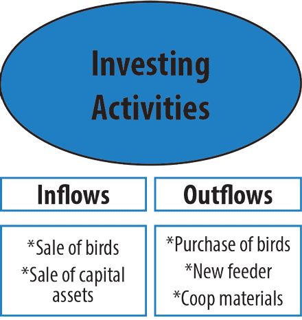 Investing activities inflows of capital asset and bird sales, and outflows of bird purchases, new feeder and coop materials.