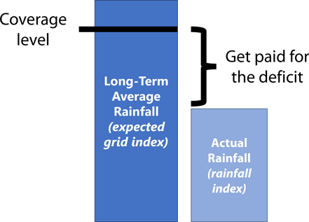 Graphic showing how PRF Insurance pays for the deficit between the coverage level of the long-term average rainfall and actual rainfall.