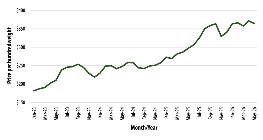 Graph showing price per rate changes from January 2023 through July 2025.