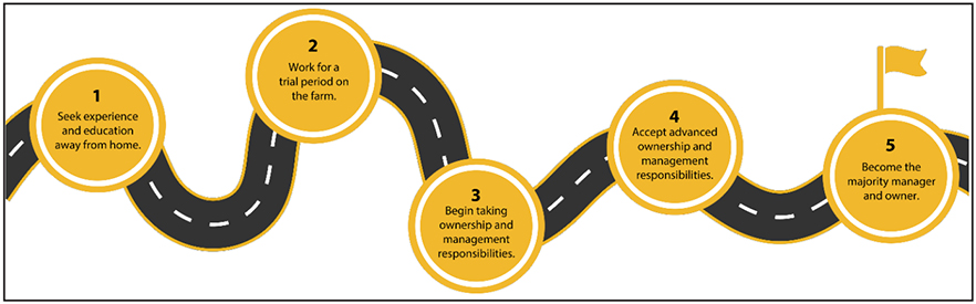 Five phases of the process.